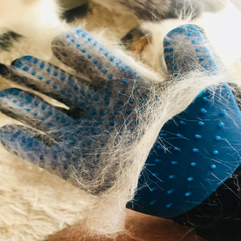 GUANTE REMOVEDOR DE PELOS PARA MASCOTAS